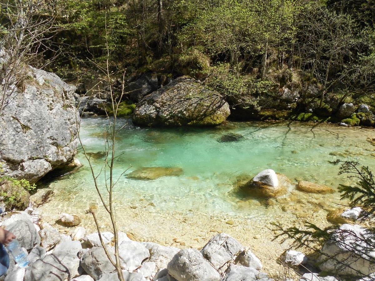 Cottage Trenta Bovec Eksteriør bilde